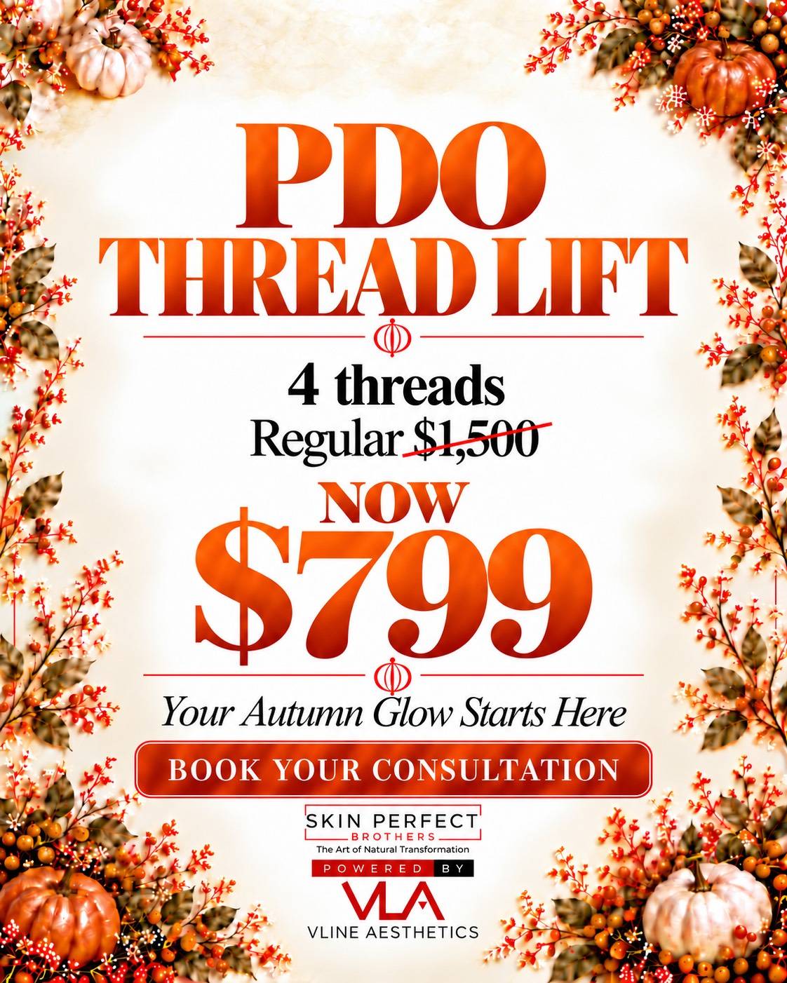 PDOThread Lift (mid or lower face) 4 Threads (Autumn Sale)
