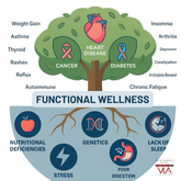 Functional Wellness - Skin Perfect Brothers Powered by VLA