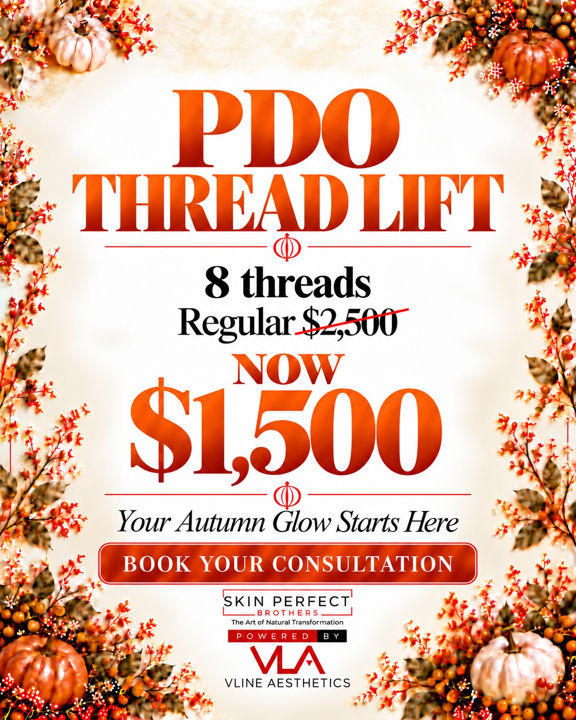 PDOThread Lift (mid or lower face) 8 Threads (Autumn Sale)