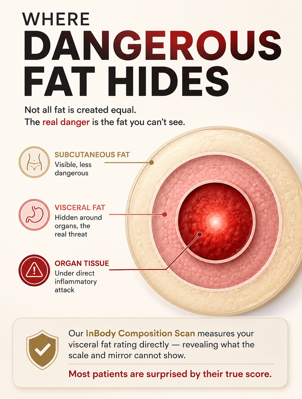 Where Dangerous Fat Hides